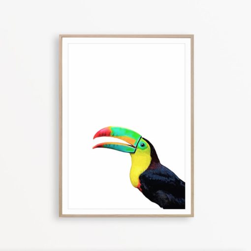 Toucan Wall Art Tropical Print Toucan Print Tropical Decor Toucan Photo Exotic Bird Print Toucan Poster Bird Photography Tropical Wall Art