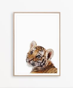 Tiger Wall Art Tiger Nursery Print Baby Animal Print Tiger Cub Print Tiger Printable Kids Room Wall Art Tiger Poster Jungle Animal Print