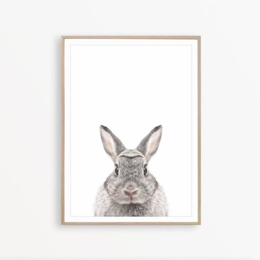 Rabbit Print Nursery Rabbit Wall Art Rabbit Decor Farmhouse Wall Art Rabbit Poster Nursery Woodland Decor Bunny Print Farmhouse Printable