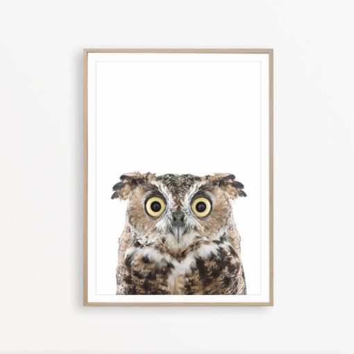 Owl Print Woodland Nursery Decor Owl Wall Art Owl Decor Owl Printable Owl Poster Owl Art Bird Poster Forest Animal Print Woodland Print