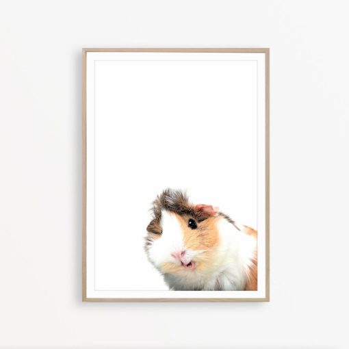 Guinea Pig Print Guinea Pig Wall Decor Cavy Print Guinea Pig Portrait Baby Animal Wall Art Hamster Decor Guinea Pig Poster Guinea Pig Art