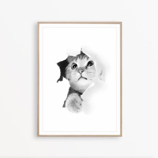 Black and White Cat Print Cat Wall Art Printable Cat Photography Kitten Wall Art Cat Poster Cat Decor Modern Animal Print Nursery Print