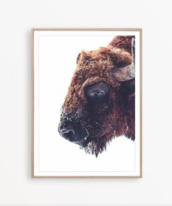 Buffalo Print Bison Print Bison Wall Art Bison Photography Southwestern Wall Art Buffalo Wall Decor Wilderness Poster Buffalo Wall Art