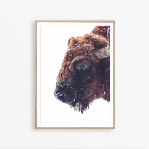 Buffalo Print Bison Print Bison Wall Art Bison Photography Southwestern Wall Art Buffalo Wall Decor Wilderness Poster Buffalo Wall Art