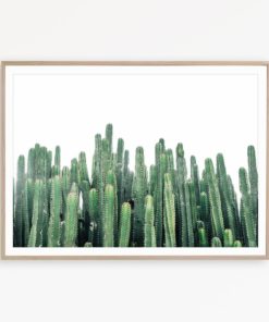 Cactus Print Cactus Wall Art Cactus Photography Boho Art Tropical Decor Mexican Poster Cacti Wall Art Desert Printable Wall Art Cacti Print