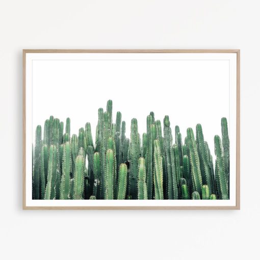 Cactus Print Cactus Wall Art Cactus Photography Boho Art Tropical Decor Mexican Poster Cacti Wall Art Desert Printable Wall Art Cacti Print