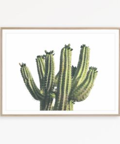 Cactus Print Cacti Art Mexican Decor Cactus Printable Southwest Decor Cactus Wall Art Wild West Print Cacti Wall Decor Southwestern Wall Art