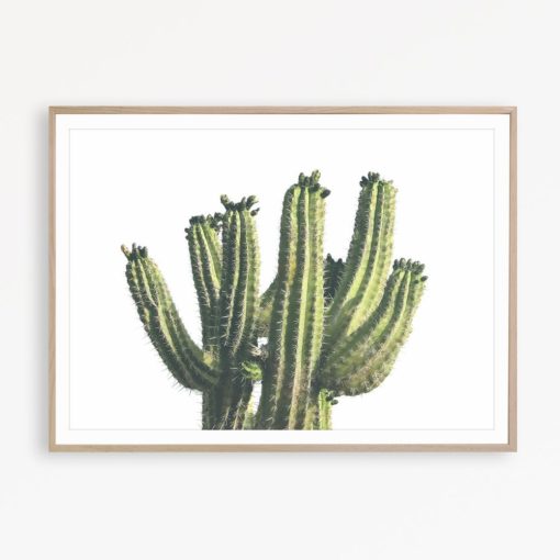 Cactus Print Cacti Art Mexican Decor Cactus Printable Southwest Decor Cactus Wall Art Wild West Print Cacti Wall Decor Southwestern Wall Art