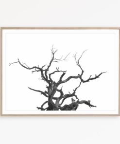 Black and White Wall Art Minimal Wall Art Tree Print Black and White Photography Print Scandinavian Poster Minimalist Decor Minimal Wall Art