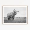 Highland Cow Print Scotland Print Farmhouse Poster Highland Cattle Print Highland Cow Wall Art Bull Print Farm Animal Print Farmhouse Print