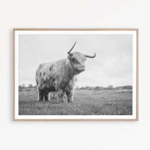 Highland Cow Print Scotland Print Farmhouse Poster Highland Cattle Print Highland Cow Wall Art Bull Print Farm Animal Print Farmhouse Print