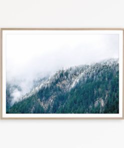 Foggy Forest Print Nordic Decor Nature Photography Forest Wall Art Nordic Art Landscape Wall Art Mountain Print Nature Print Forest Poster
