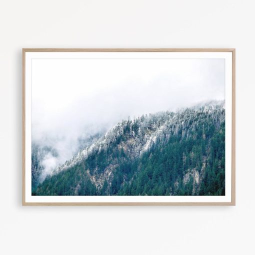 Foggy Forest Print Nordic Decor Nature Photography Forest Wall Art Nordic Art Landscape Wall Art Mountain Print Nature Print Forest Poster