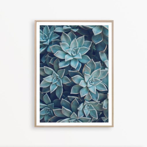 Succulent Print Cactus Print Botanical Art Scandinavian Wall Decor Succulent Home Decor Cacti Poster Blue Succulent Printable Cacti Wall Art