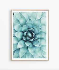 Succulent Print * Cactus Print Botanical Art Aqua Blue Decor Modern Home Decor Cacti Poster Scandinavian Art Greenery Decor Cacti Wall Art