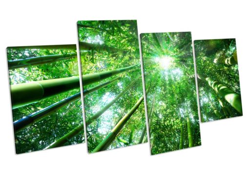 Forest Trees Picture Canvas Wall Art Print 4 Panel