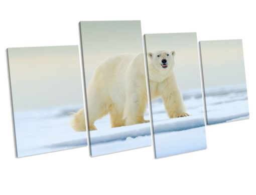 Polar Bear Wildlife Scenic 4 Panel Canvas Wall Art Print