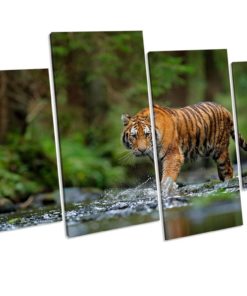Tiger Animal Forest 4 Panel Box Framed Canvas picture Print