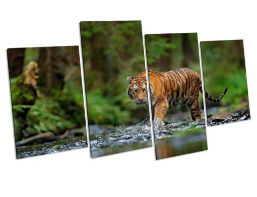 Tiger Animal Forest 4 Panel Box Framed Canvas picture Print