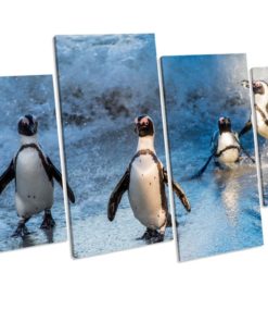 Penguins Wildlife 4 Panel Box Framed Canvas Wall Art picture Print