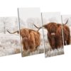 Highland Cow CANVAS WALL ART picture Print