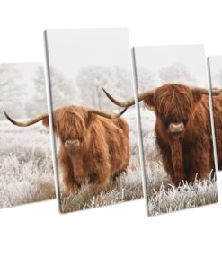 Highland Cow CANVAS WALL ART picture Print
