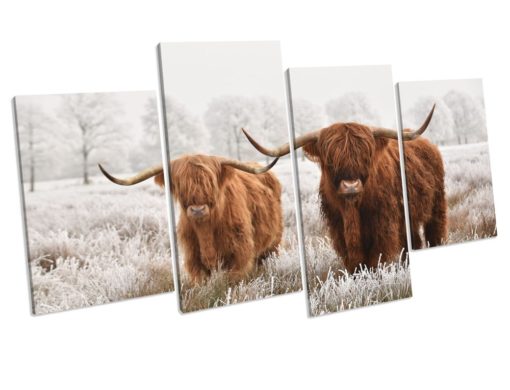 Highland Cow CANVAS WALL ART picture Print