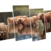 HIGHLAND COW Winter Picture Canvas Art Print Framed Wall Art