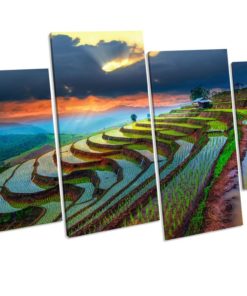 THAILAND PADDY FIELD Sunset Picture Canvas Wall Art Print