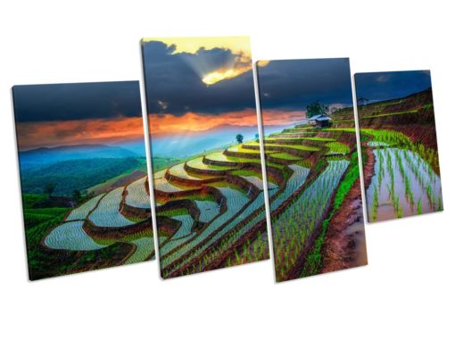 THAILAND PADDY FIELD Sunset Picture Canvas Wall Art Print