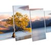 Wanaka Tree New Zealand 4 Panel Box Framed Canvas picture Print