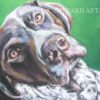 GSP German Shorthaired POINTER dog portrait ART canvas print of LAShepard painting 12x16""""