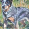 Australian CATTLE DOG art canvas PRINT of Blue Heeler painting by LAShepard 8x10