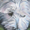 west Highland Terrier WESTIE PORTRAIT canvas PRINT of LAShepard painting 12x16 dog art