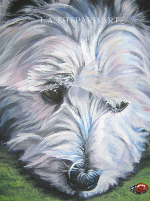 west Highland Terrier WESTIE PORTRAIT canvas PRINT of LAShepard painting 12x16 dog art