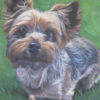 Yorkshire Terrier yorkie dog art CANVAS print of LA Shepard painting 12x16