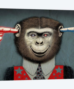 Monkey