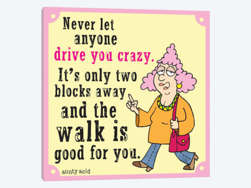 Drive Your Crazy