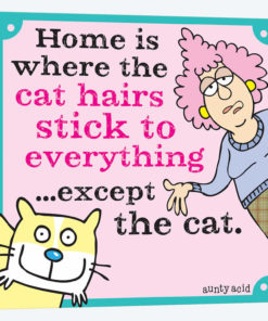 Home Is Where The Cat