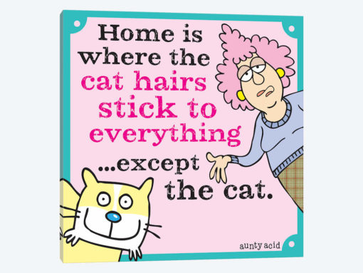 Home Is Where The Cat