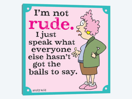 I'm Not Rude 2
