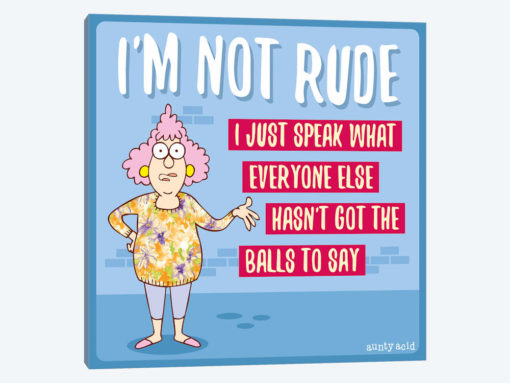I'm Not Rude I Just Speak