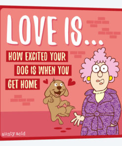 Love Is Dog