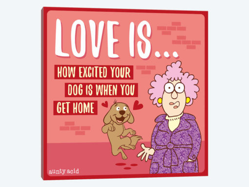 Love Is Dog