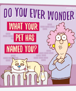 What Your Pet Has Named You