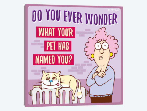 What Your Pet Has Named You