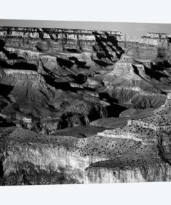Grand Canyon National Park XVI