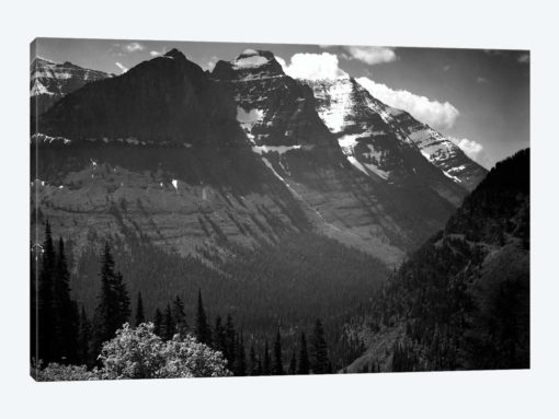 In Glacier National Park II