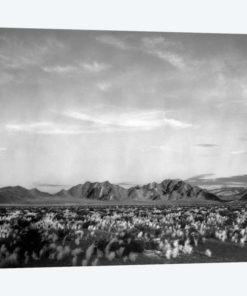 Near Death Valley National Monument