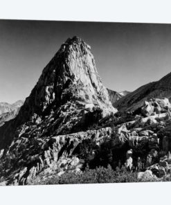 Fin Dome
